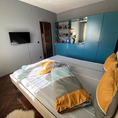 Comfort Home Apartment 2 Petroşani Exteriör bild
